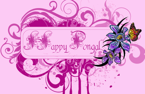 Pongal 2017 wallpapers and images